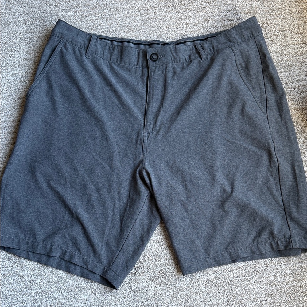 Puma Men's Gray Shorts